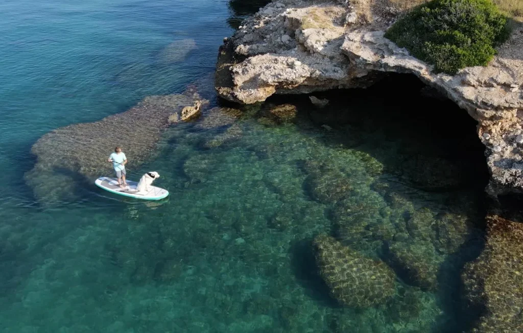 Founder of SipaBoards with dog on SUP