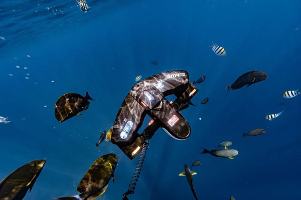 Sublue Navbow+ - Image 6