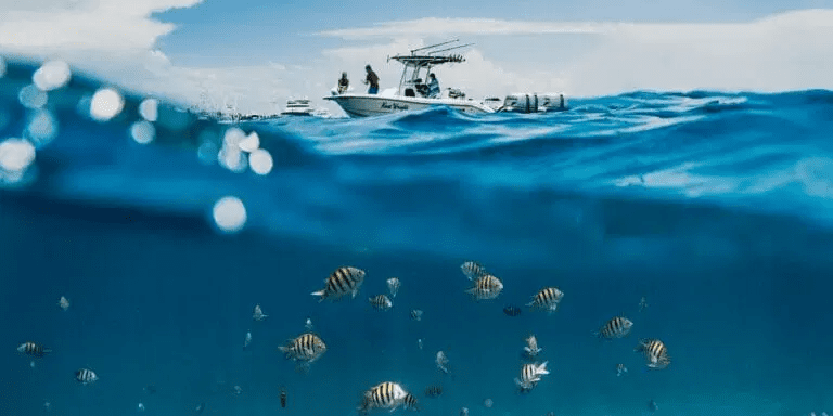 Sustainable Boating sust_boating